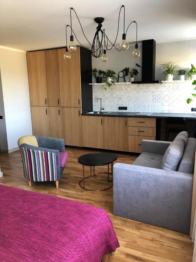 Kaktuss Apartamenti Smiltene Exteriör bild