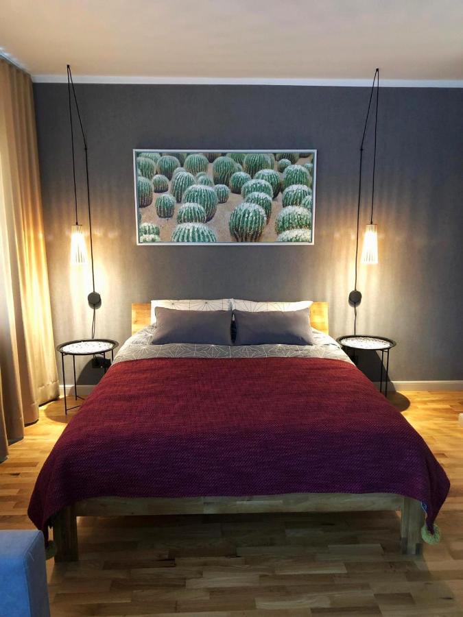 Kaktuss Apartamenti Smiltene Exteriör bild